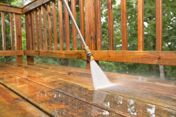 Best Affordable Power Washing  in Tecumseh, MI